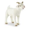 Buytiquehub.shopacae0fc624 1